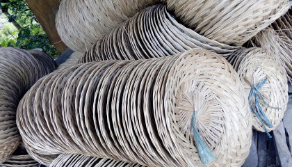 Coco Midrib Baskets